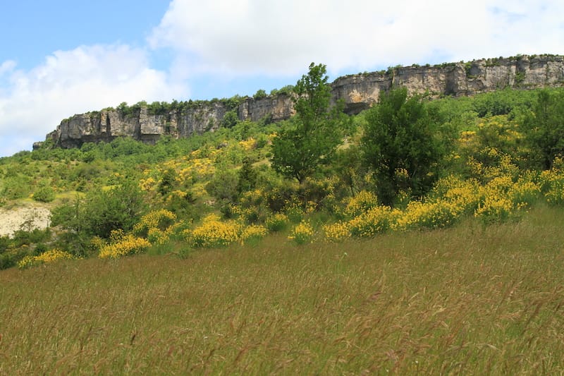 Aveyron 2011 33
