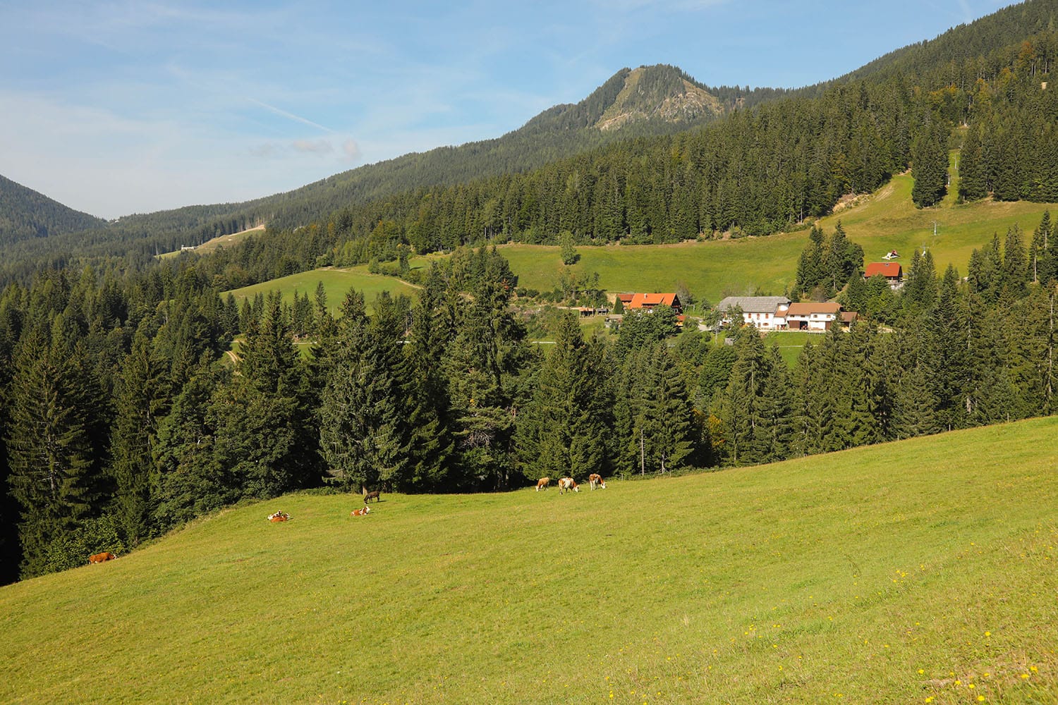 Slo2021 07.PanoramskaCesta