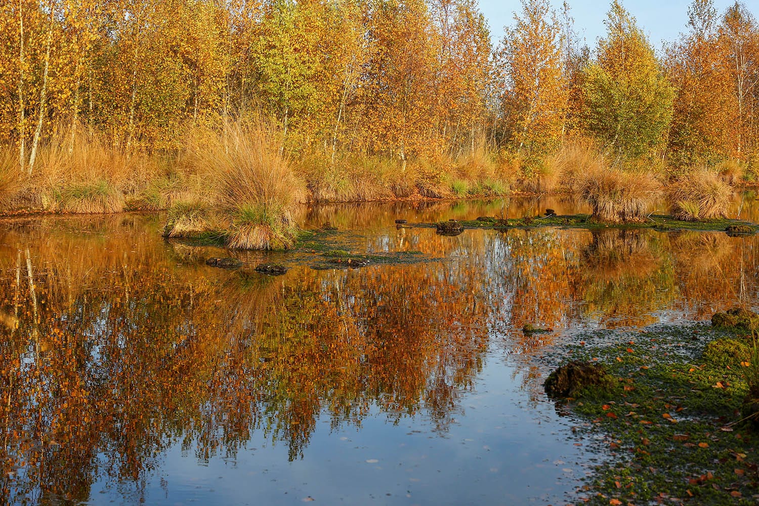 08.Natuurpark Dummer