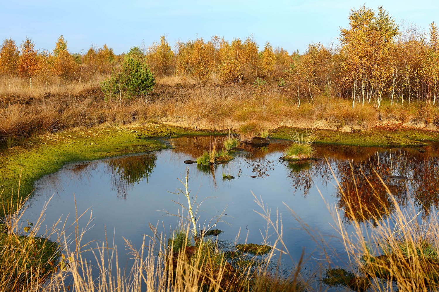 10.Natuurpark Dummer