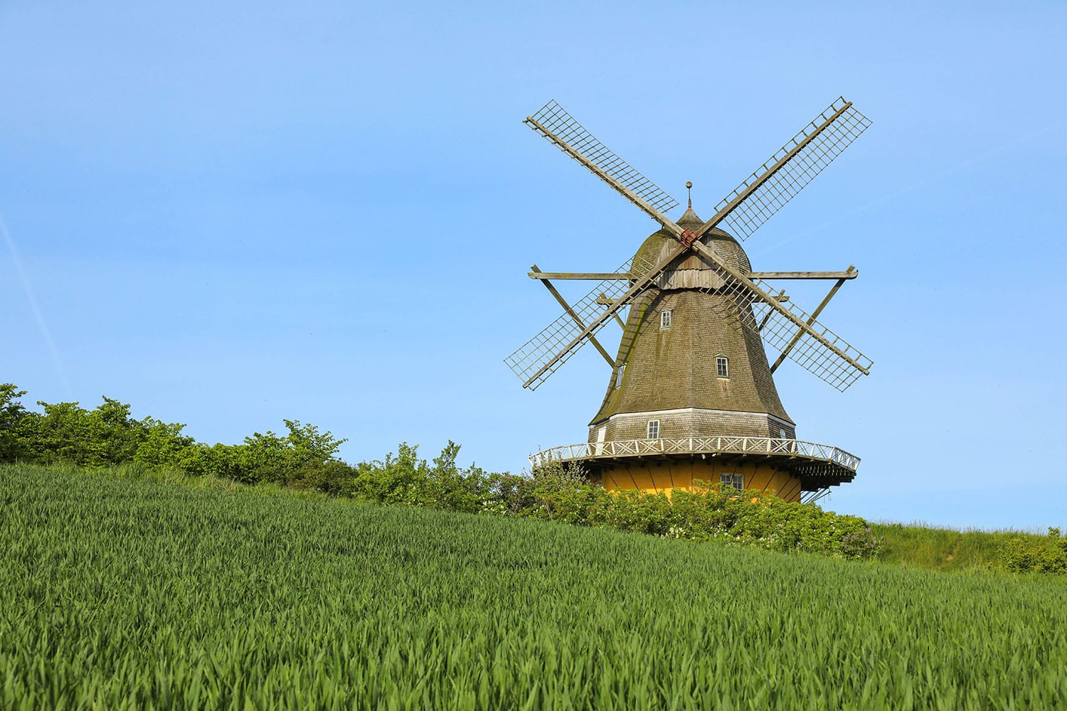 DK2024 66 Mesinge