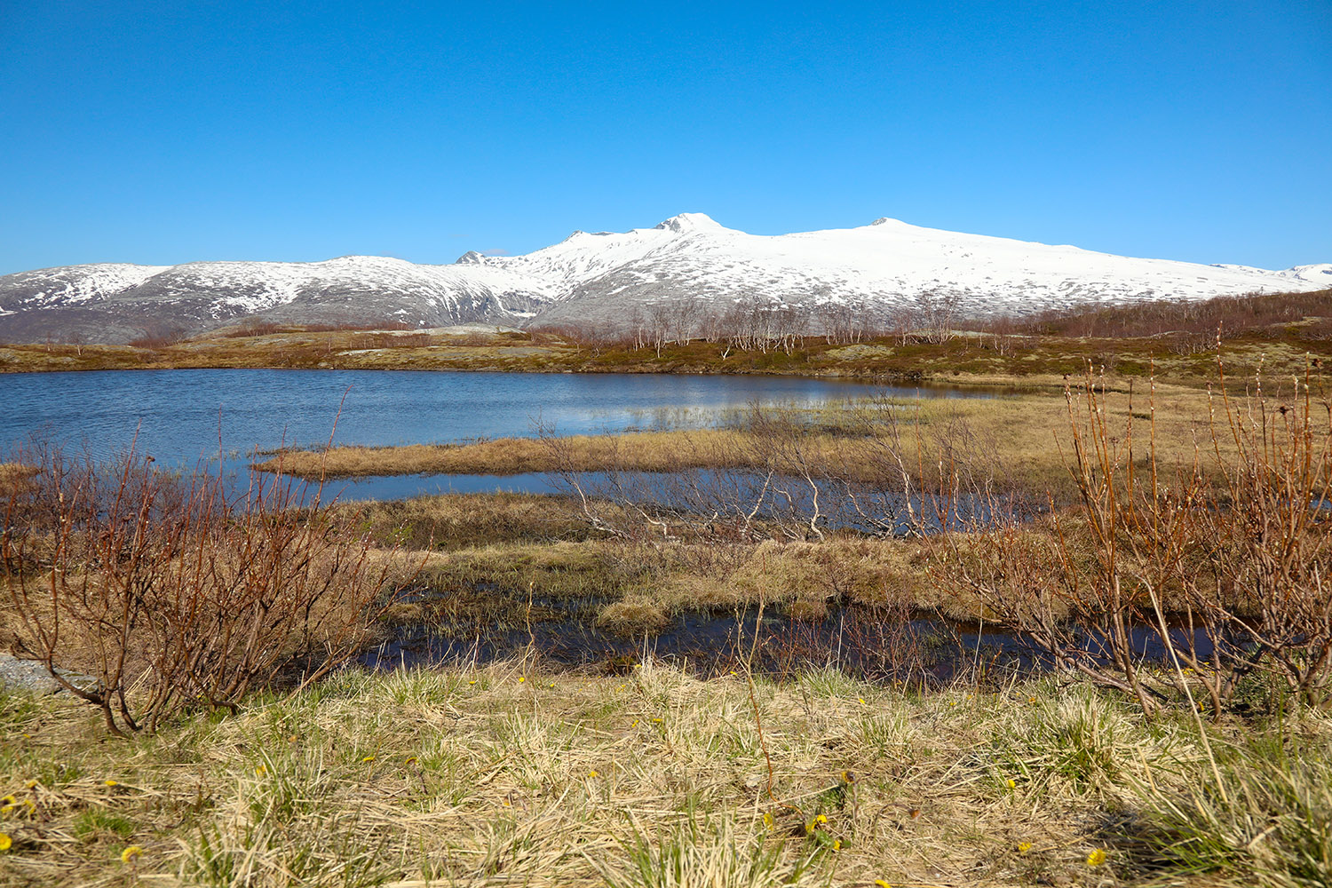 CR2025 127 Utskarpen