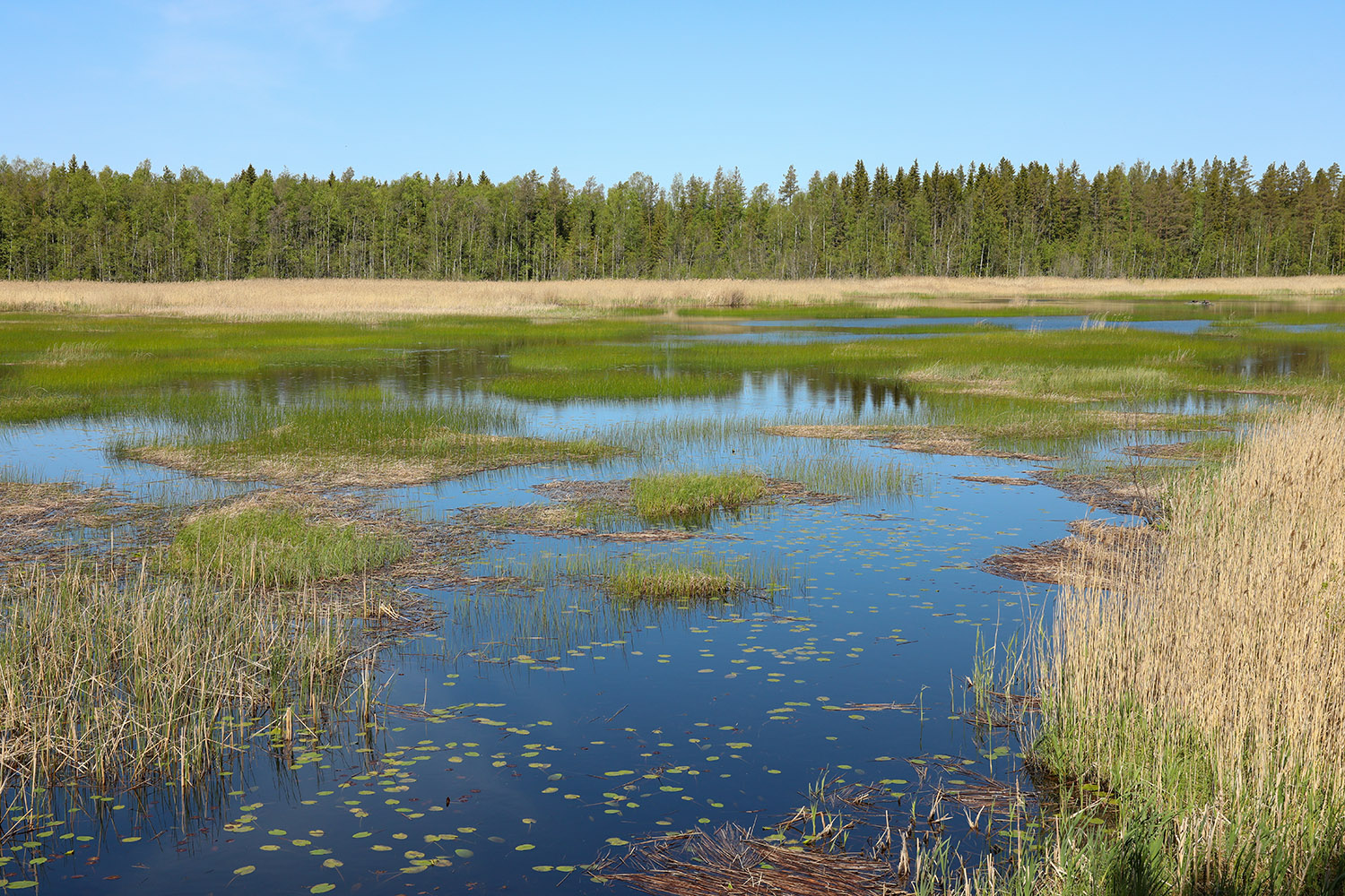 CR2025 189 Lapvaarti