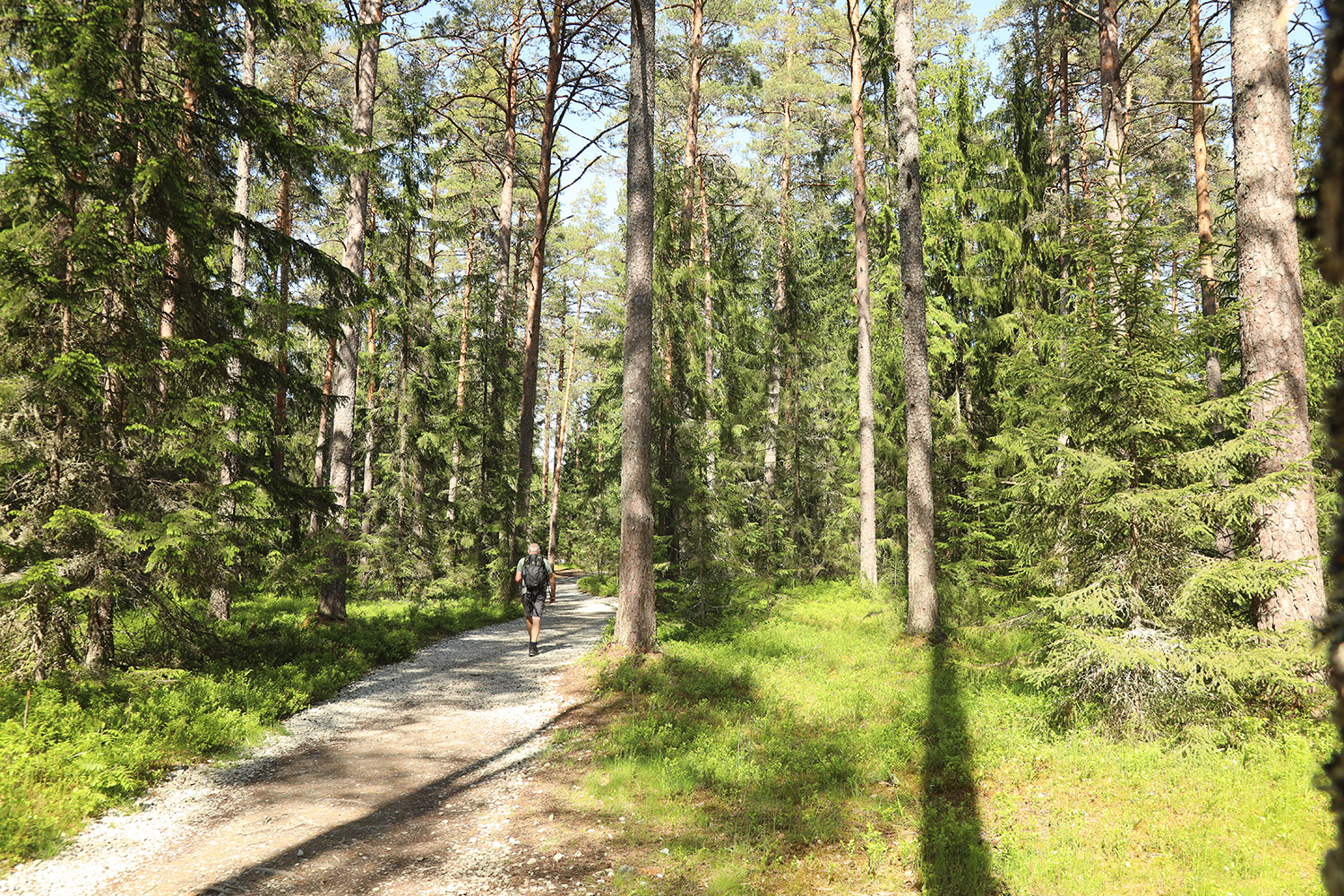 CR2025 208 LaheemaNP