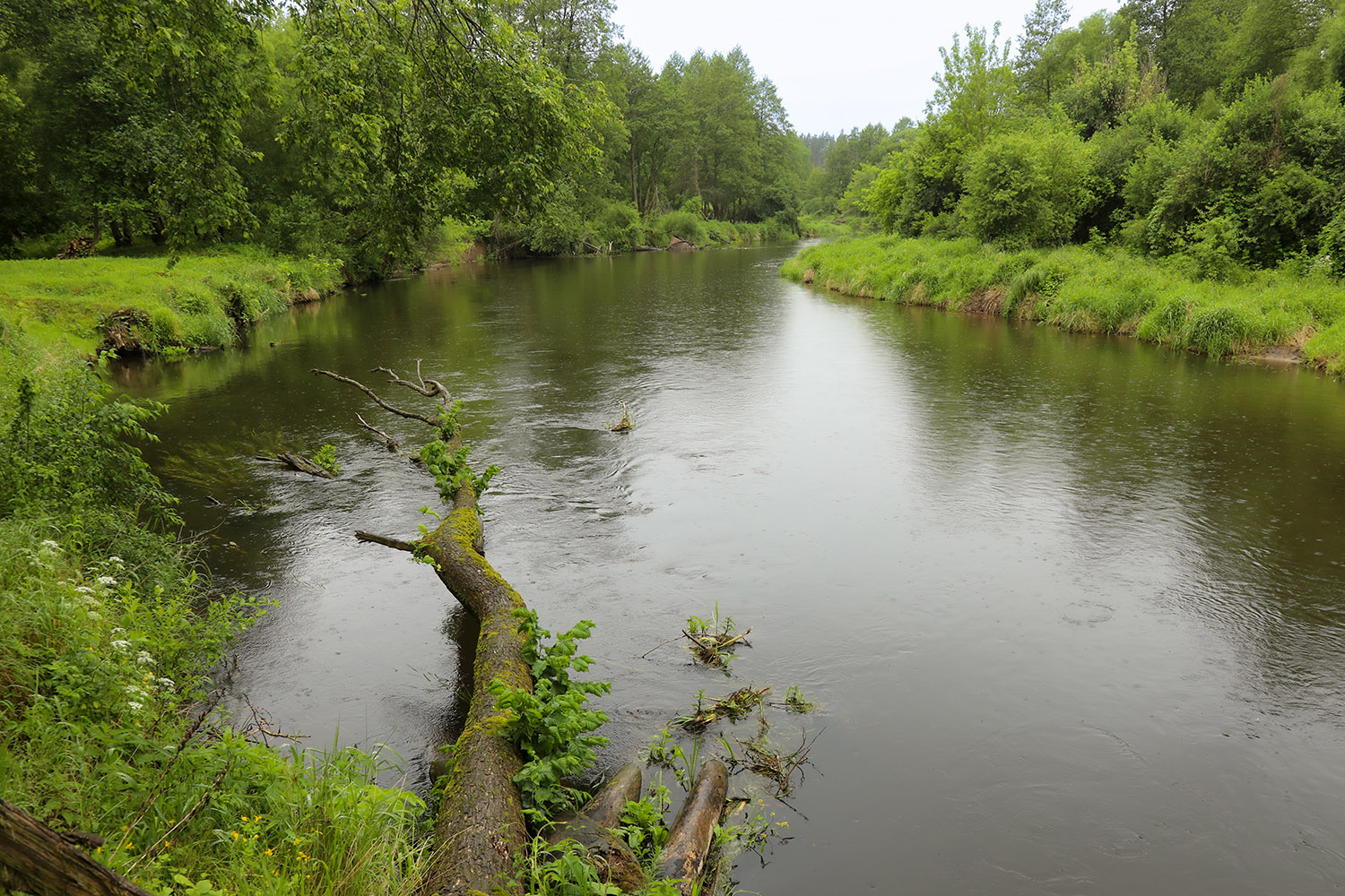 CR2025 291 MerkysRiver