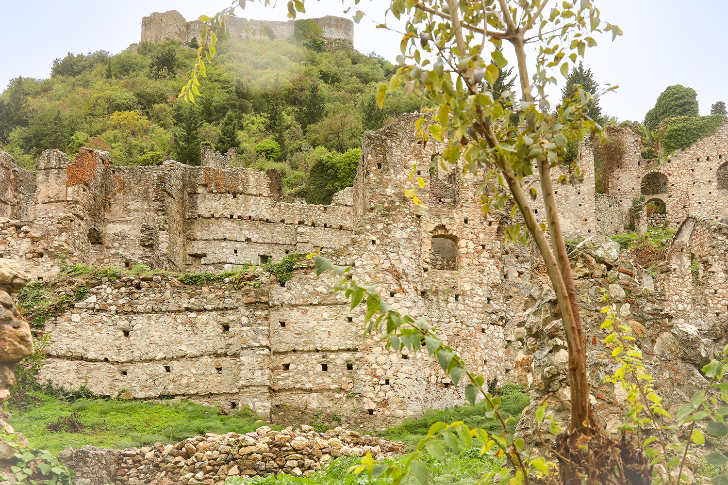 IG2025 149 Mystras